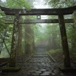 神社本庁の歴史と行っている事業